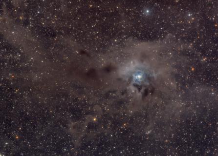 Iris Nebula, also NGC 7023